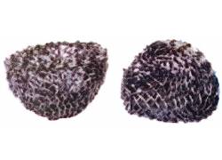 Σίτες Pipe Screens Fat 18mm - 2τμχ