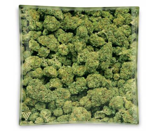 V-Syndicate Γυάλινο Τασάκι - Σχέδιο Buds - Τιμή: 8,90€