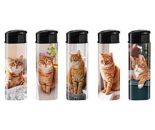 Belfam Αναπτήρες Ηλεκτρονικοί - Red Hair Cats - 5 τεμ. - Τιμή: 1,60€