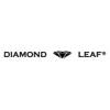 Diamond Leaf