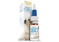 Cibdol CBD Oil for Dogs 4% (10ml) - Ελαιο Κάνναβης για Σκύλους