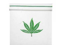 Σακουλάκι Ασφαλείας Zip - Leaf (50x50mm)