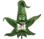 Cannabuds Acrylic Pendulum Wall Clock - Height 30cm -  Price: 19,90€