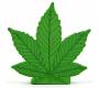 Cannabis Powerbank 3000mAh in Cannabis Leaf Shape -  Price: 15,50€