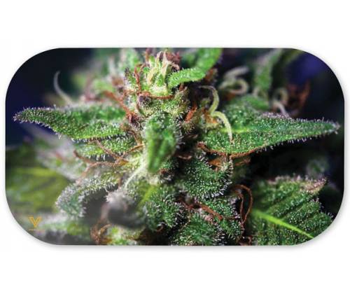 V-Syndicate Magnetic Cover - Μαγνητικό Κάλυμμα για Δίσκους V-Syndicate Small (27x16cm) - Blue Dream - Τιμή: 4,20€