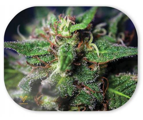 V-Synticate Magnetic Cover - Μαγνητικό Κάλυμμα για Δίσκους V-Syndicate Mini (18x14cm) - Blue Dream - Τιμή: 3,90€