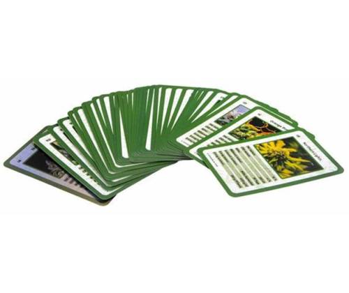 Παιχνίδι Καρτών Cannabis - Limited Edition - Τιμή: 9,50€