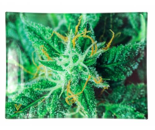 V-Syndicate Γυάλινος Rolling Tray Δίσκος - AK47 - Mini (16x12cm) - Τιμή: 10,50€