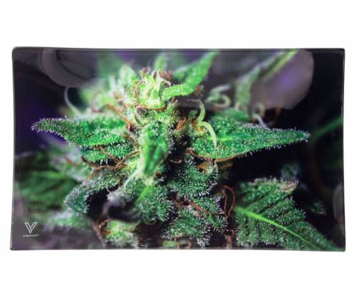 V-Syndicate Γυάλινος Rolling Tray Δίσκος - Blue Dank - Small (26x16cm) - Τιμή: 12,50€