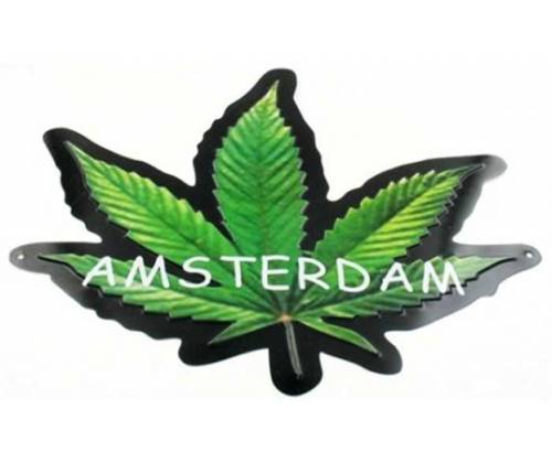 Amsterdam Weed Wall Art - Size 30x35cm -  Price: 3,90€