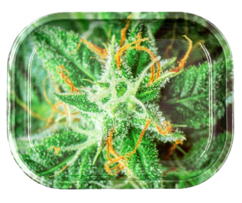 V-Syndicate Rolling Tray Δίσκος Strain - Mini (18x14cm) - Τιμή: 6,50€