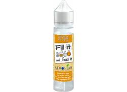 Flavor Shot Fill it RY69 60ml