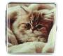 Belbox Ταμπακιέρα - Cat 01 - Price: 3,30€