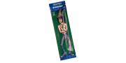 Cigar Papers Lion Rolling Circus